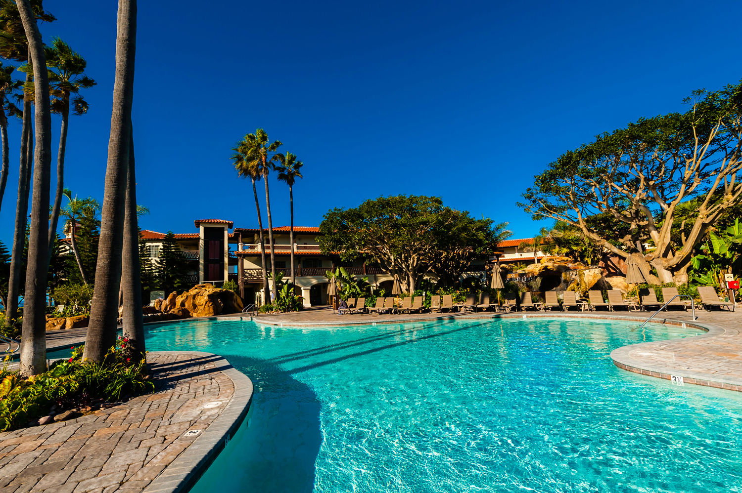 Scnz 20121109 002 Web Ready