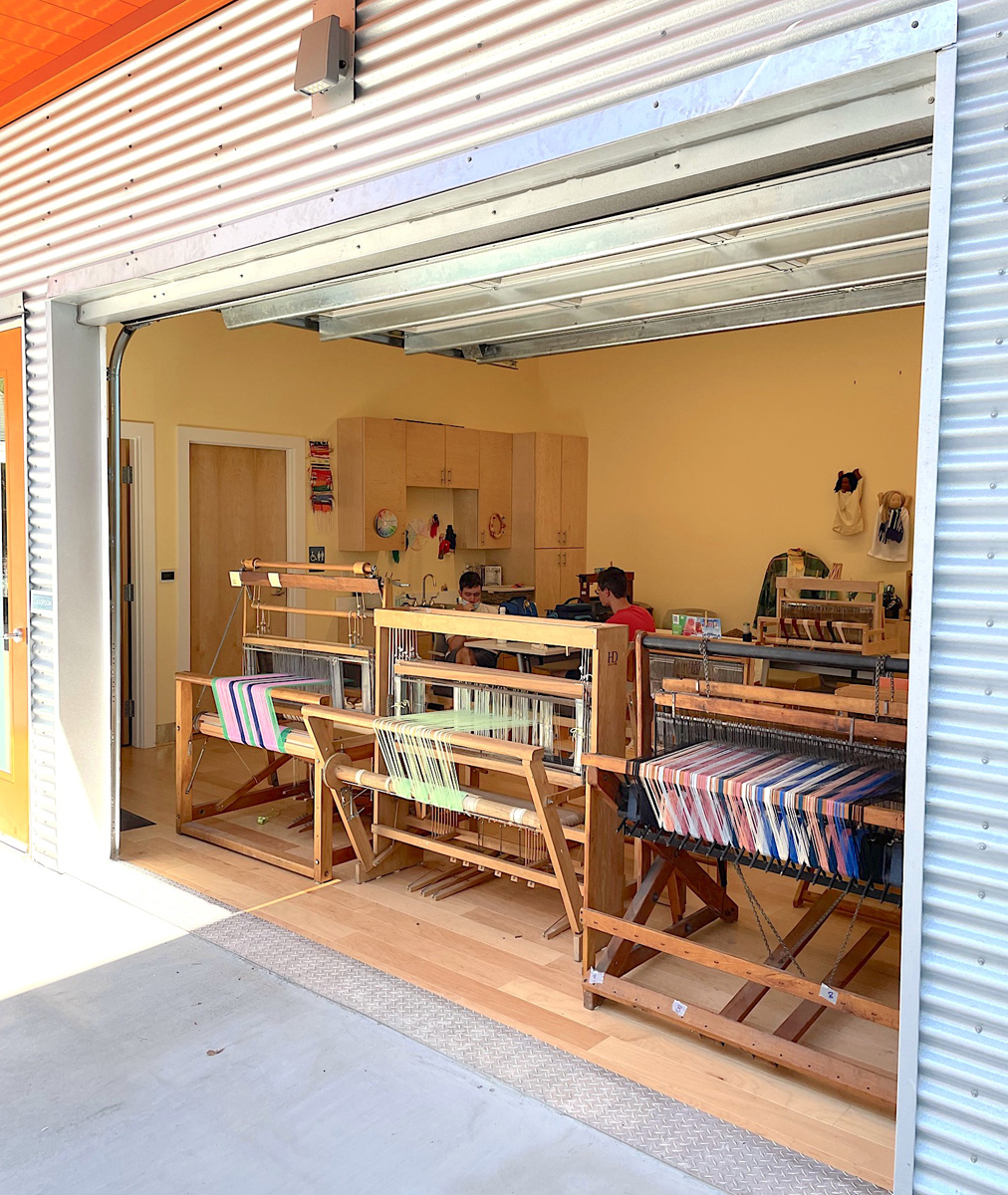 Scnz Raphael Web Ready 4